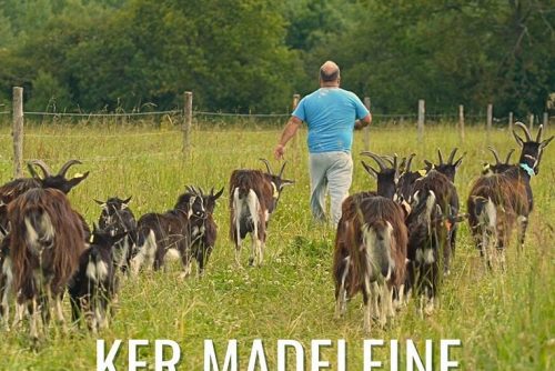 Journées Nationales Prison 2025