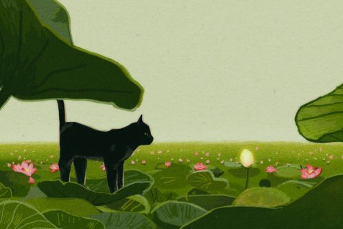 Un court avant le long