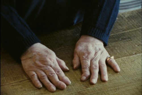 Un court avant le long