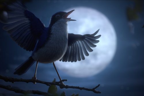 Un court avant le long