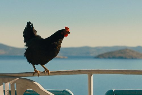CAP À L&rsquo;EST !