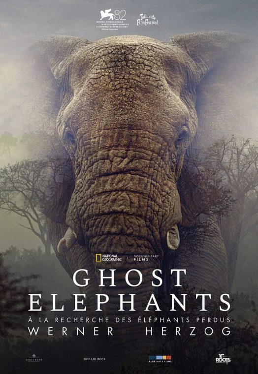 Ghost Elephants