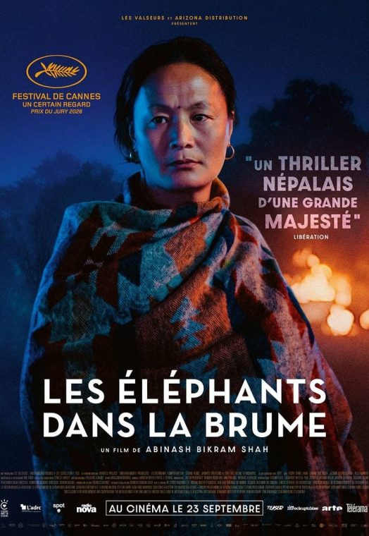Les Eléphants dans la brume